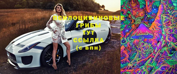 эйфоретик Балахна